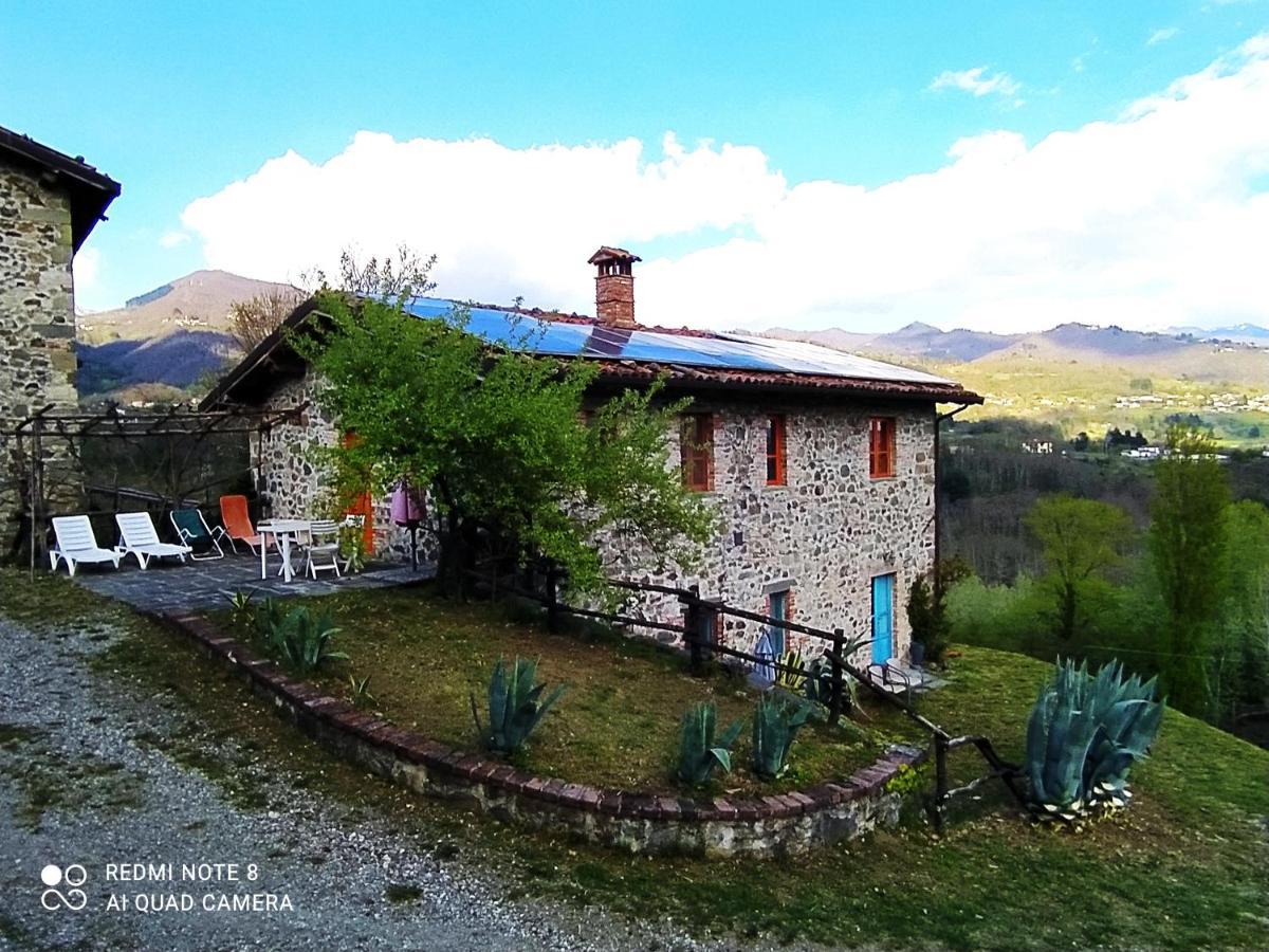 Agriturismo Paneolio Villa Collemandina Exterior photo